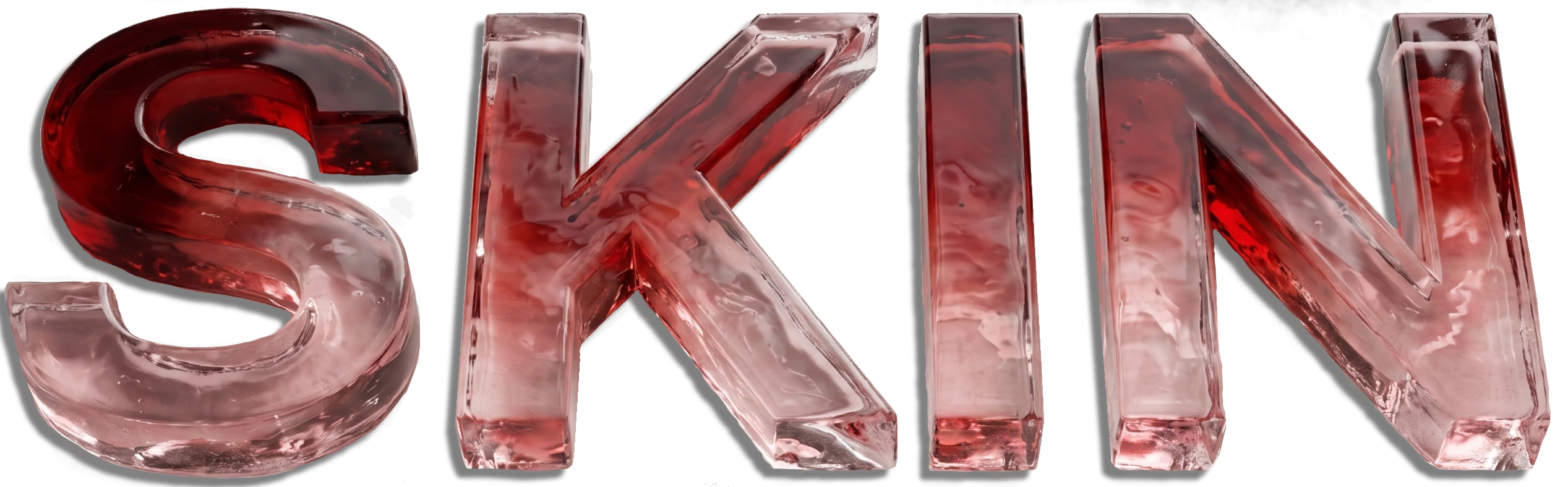 SKIN by Bailey logo